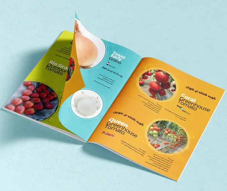 طراحی کاتالوگ محصولات کشاورزی بهرویشش